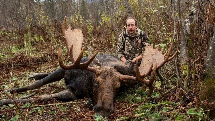 Archery moose hunts in British Columbia