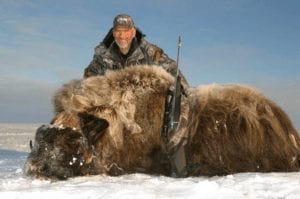 Bob Foulkrod with a great Victoria Island muskox
