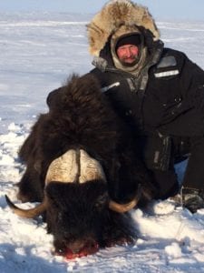 Victoria Island Muskox Hunting