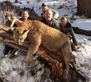 mountain lion hunting in Colorado