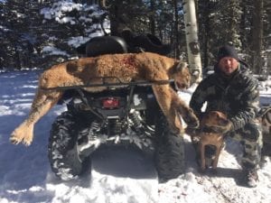 Can combo on a bull buffalo hunt for an additional trophy fee.