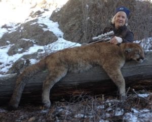 Hunting mountain lions with a pistol
