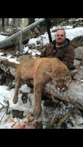 Trophy mountain lion