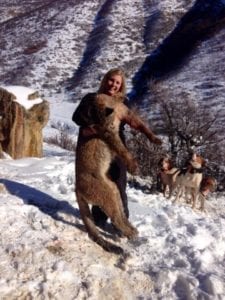 Colorado mountain lion hunt
