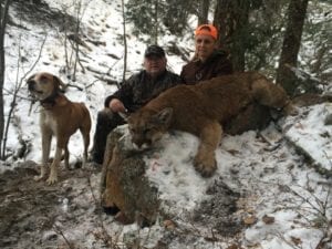 Mountain lion hunting