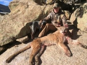 A small mountain lion