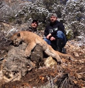 Lion hunts in Colorado