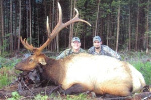 And today, this elk hunting outfitters largest recorded bull scores 416 SCI.