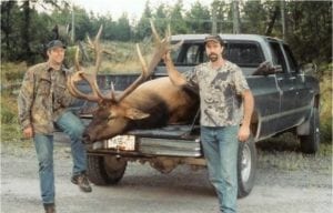 Roosevelt Elk Hunting British Columbia