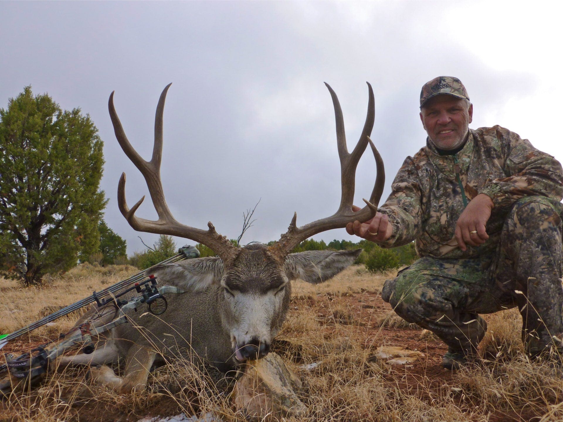 We have access to GUARANTEED TAGS Arizona mule deer tags during the early season and during the rut!