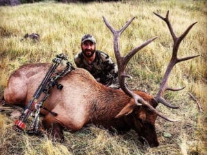 AJ Kissell with an archery elk in Colorado