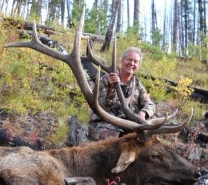 There are some good bulls in the Frank Church