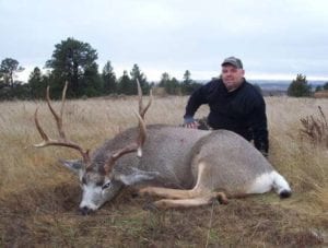 Utah muley