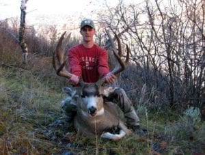 A big Utah mule deer