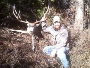 30 inch mule deer