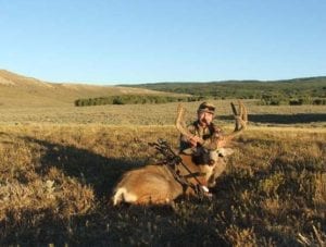Early season mule deer
