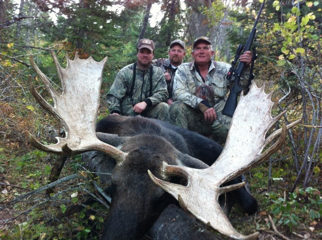 Trophy Shiras Moose Hunt in Washington