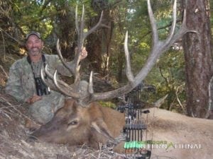 Bow hunting roosevelt elk