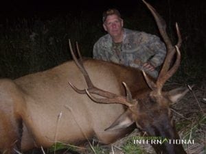 A good average bull.