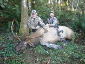 A nice archery bull