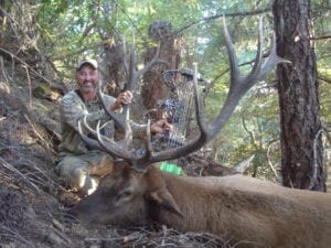 Roosevelt elk hunting in Oregon