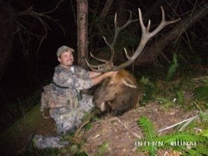 Roosevelt elk live in a dark, lush, patchwork of old-growth timber, clearcuts, and reproduction forest (reprod) with a confusing maze of logging roads often ending in locked gates — along the Pacific Coast from California to British Columbia.