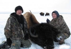 Bison hunting in Alberta