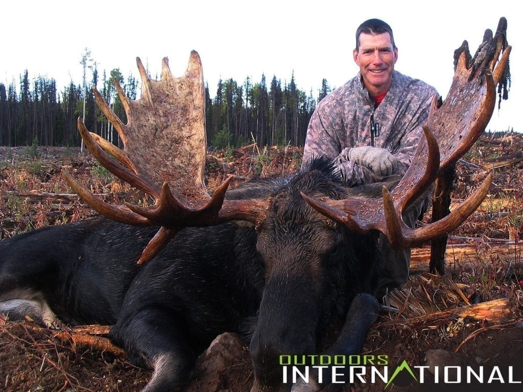 Moose, black bear combo hunt