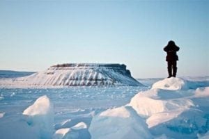 The Truth About Polar Bears