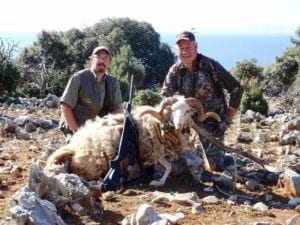 Dalmatian sheep hunts in Croatia with Adria Hunt (1)