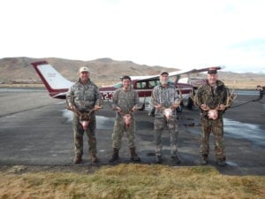 daho wilderness mule deer - Bodine, Dorschel, Gallagher Hunt - Nov 10 2017
