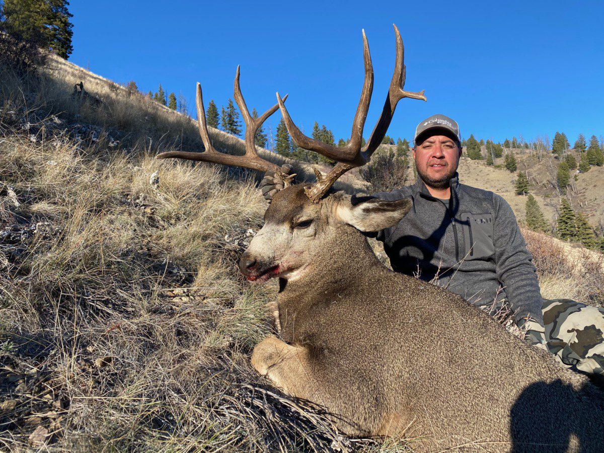 Idaho Frank Church Wilderness Mule Deer Hunt