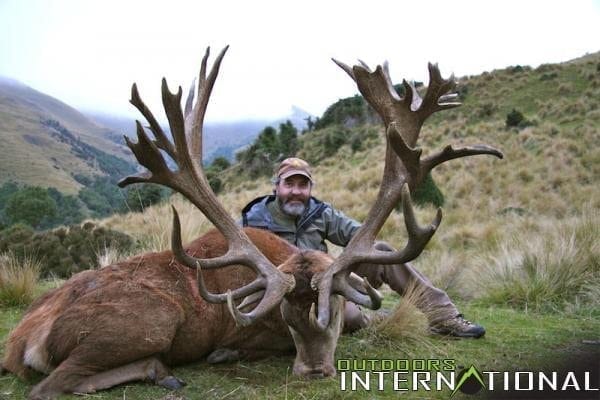 Free Range Red Stag Hunt in New Zealand