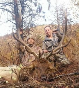 A great Idaho bull elk
