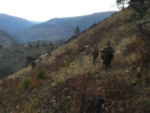 Packing out with horses