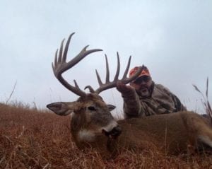 Whitetail Buck