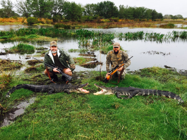 You’ll be hunting alligators on private ground in Florida ranging from four feet, all the way up to 13 feet long.