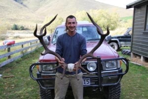 A nice stag