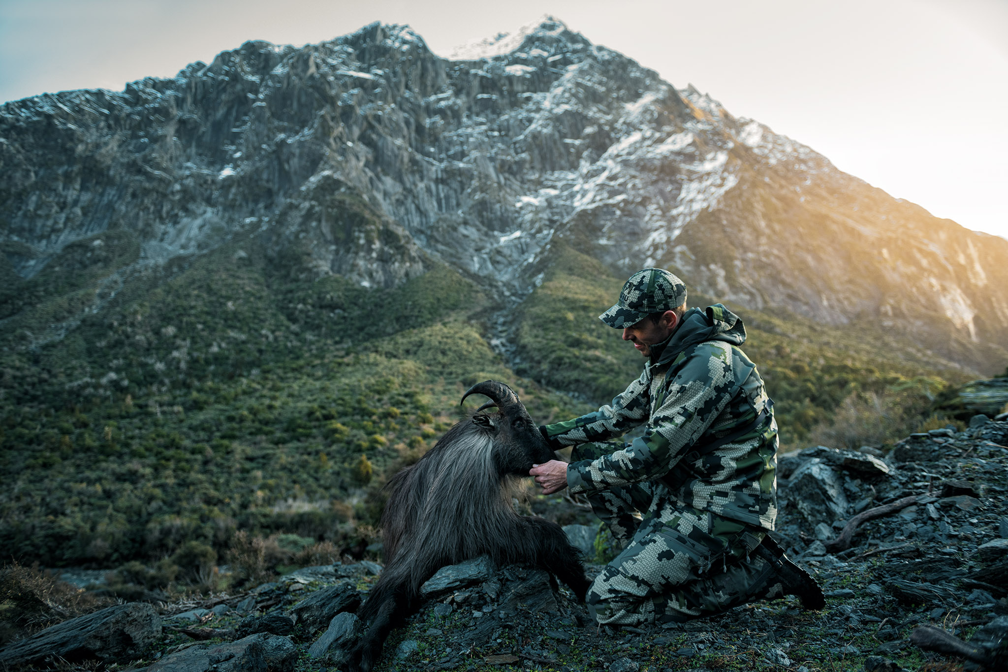 Tahr hunting on New Zealand South Island with Hard Yards Hunting