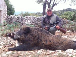 Croatia wild boar hunting on the Island of Plavnik