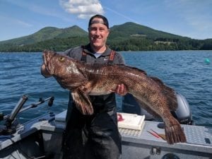 A great lingcod