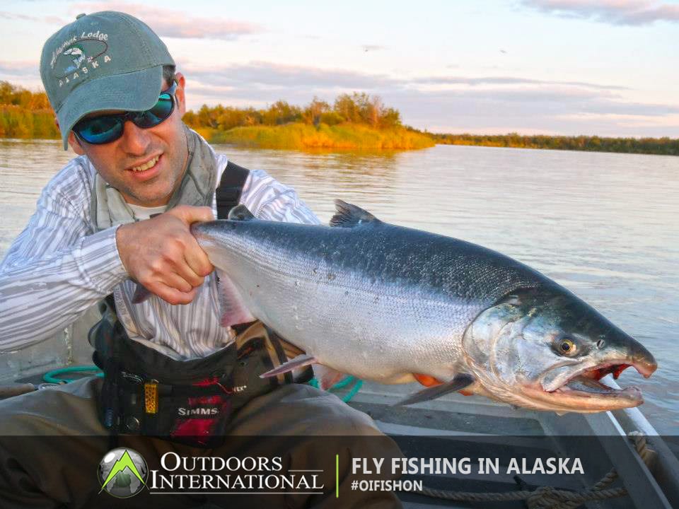 Sighting a silver salmon Alaska Alagnak