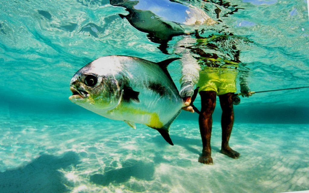 Ascension Bay has some of the best permit fishing in the world