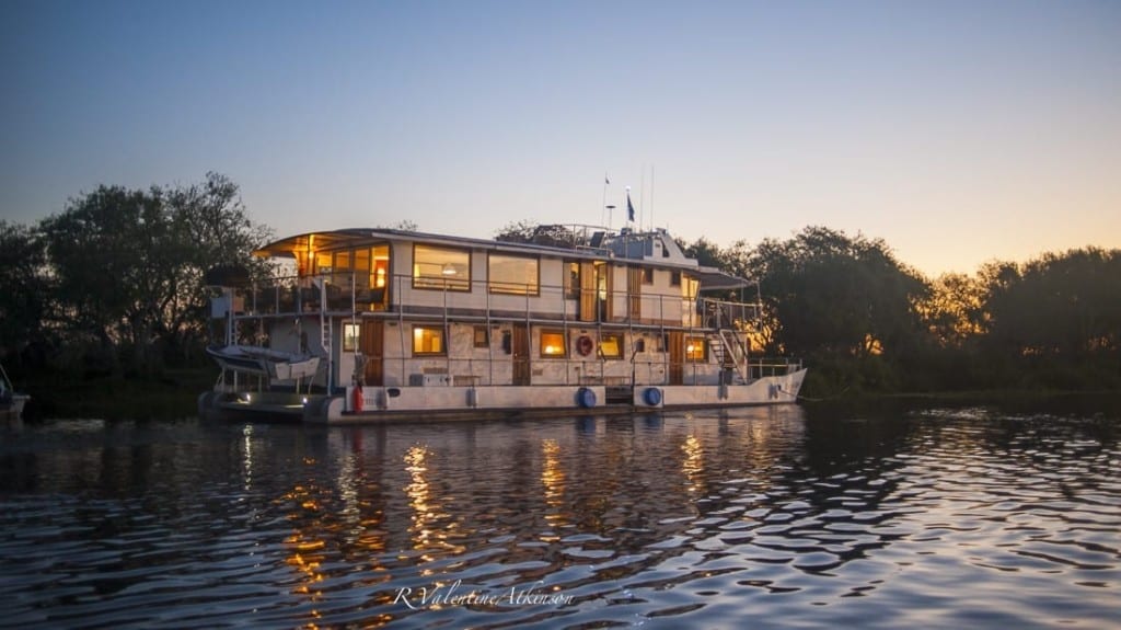 Golden Dorado River Cruiser