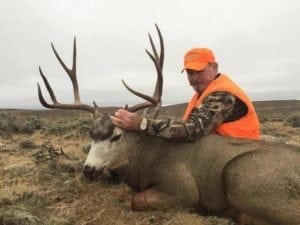 A good four point mule deer