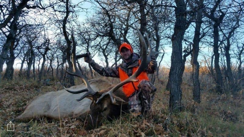 Elk hunting in Colorado