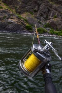 Fish on!