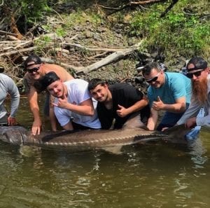 A sturgeon has grabbed your bait and the fight is on!