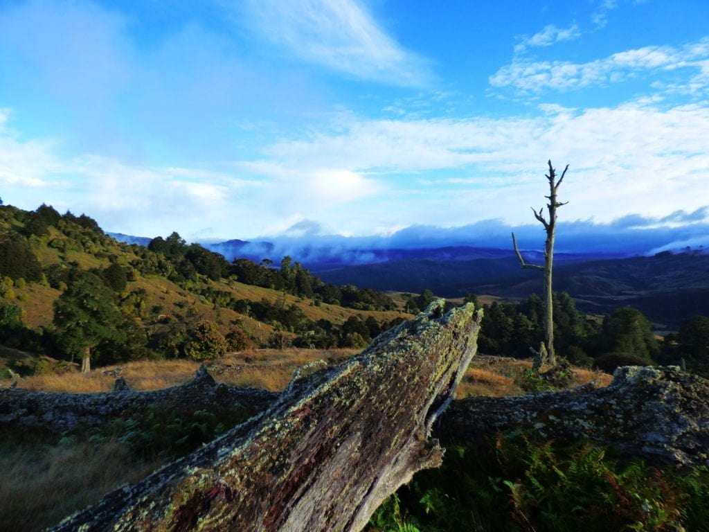New Zealand is beautiful