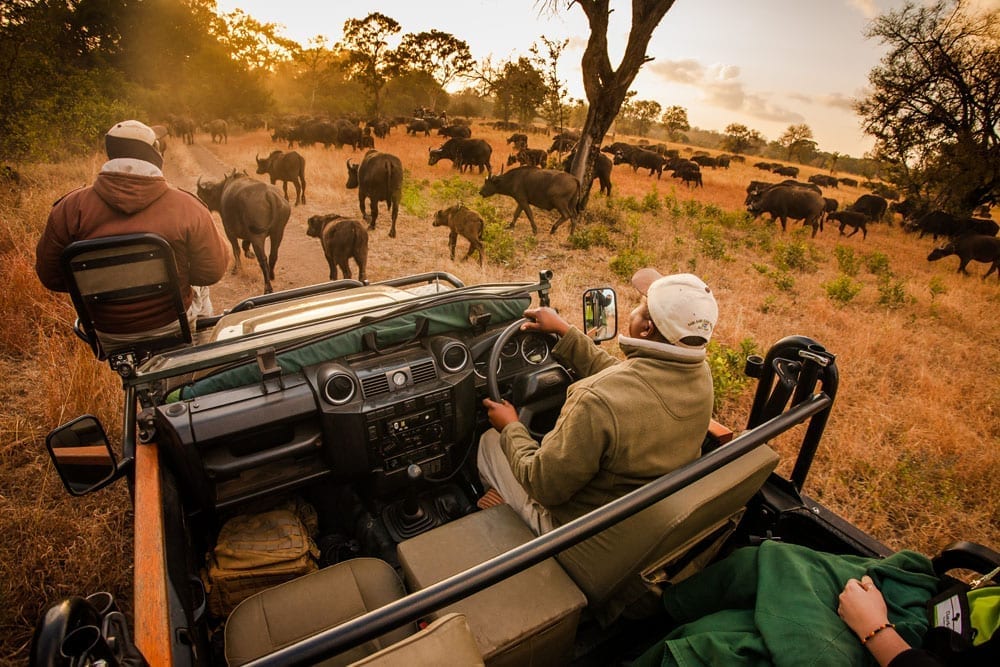 Kruger National Park